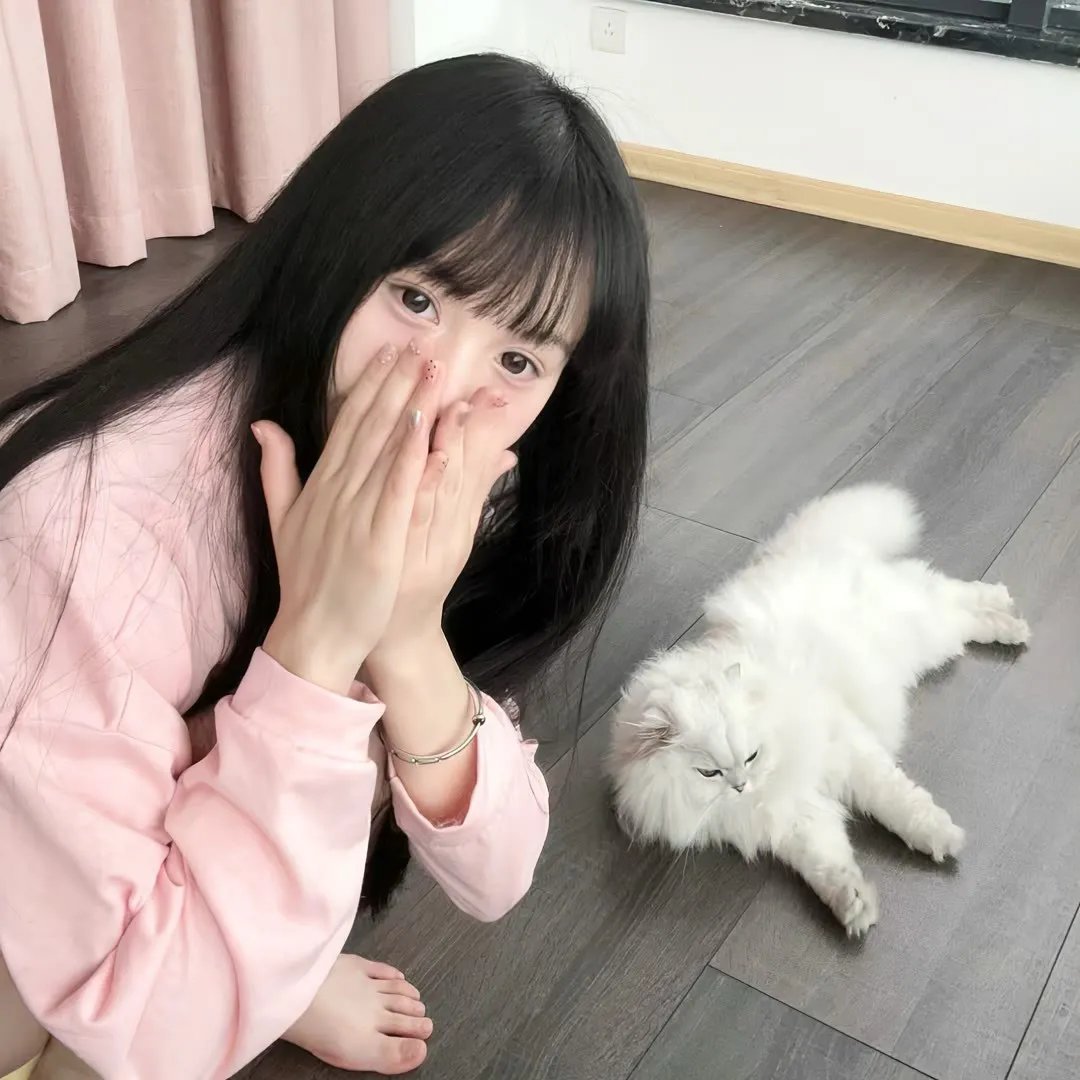 三颗星彩色冒险