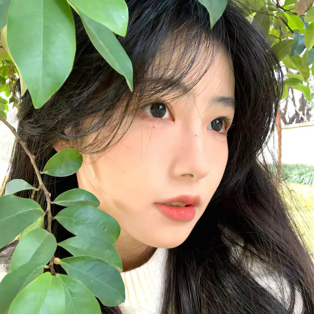 黑色追缉令