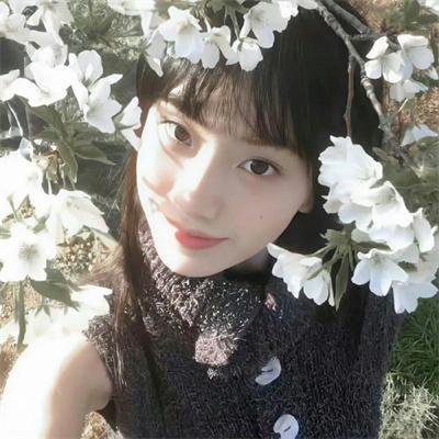 女子特案组